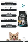 Signature Tavuklu Yetişkin Kedi Maması  Yetişkin (1 - 7 Yaş) Hayır 10 Kg thumbnail 4