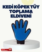 CEYLAN ADAM Yumuşak Silikonlu Kedi ve Köpek Tüy Toplama Eldiveni – Masaj Etkili Tüy Dökülme Önleyici thumbnail 1