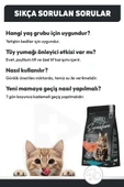 Signature Somonlu Yetişkin Kedi Maması  Yetişkin (1 - 7 Yaş) 2 Kg Hayır thumbnail 5