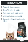 Signature Somonlu Yetişkin Kedi Maması  Yetişkin (1 - 7 Yaş) 2 Kg Hayır thumbnail 3