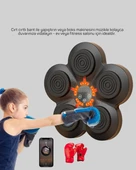 CEYLAN ADAM Müzikli Boks Duvar Paneli Akıllı Işık Sistemli Refleks ve Kondisyon Aleti thumbnail 5