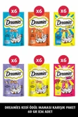 Dreamies Kedi Ödül Maması Karışık Paket 60 Gr x 24 Adet thumbnail 1