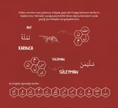 KURAN-I KERİM'DEN HİKAYELER SETİ - KUTU thumbnail 7