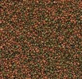 Tropical Cichlid Gran 500 G Kovadan Bölme Balık Yemi thumbnail 2