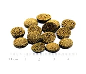 Jbl Novo Pleco Xl Vatoz İçin Tablet Yem 5 5 L 2.750 KG thumbnail 5