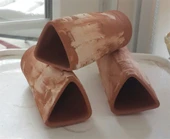 Birevcil Cüce Vatoz Yavruluğu thumbnail 1