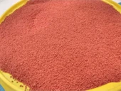 Jbl Novo Bits Discus Ciklet Balık Yemi Kovadan Bölme 500 G thumbnail 3