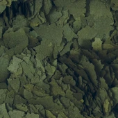 Tropical Süper Spirulina Forte 1000 Gram Pul Yem thumbnail 2