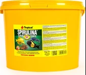 Tropical Spirulina Süper Forte 100 Gram Pul Yem thumbnail 2