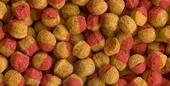 Tetra Cichlid Colour Mini Granules 100 G. Açık Kovadan Bölme thumbnail 1