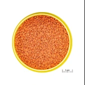 Jbl Pro Novo Bits Grano M Granül Çiklet Balık Yemi 1 KG thumbnail 2