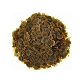 Tetra Pro Algae Açılmamış Kova 10 L 1900 Gam thumbnail 2