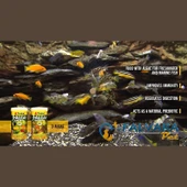 Tropical 3 Algae Tablets B Tablet Balık Yemi 1 KG thumbnail 5