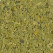 Tetra Phyll Flakes Bitkisel Pul Yem 500 Gr thumbnail 2