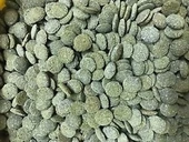 Jbl Novo Pleco Vatoz için Tablet Yem 100 G Kovadan Bölme thumbnail 4