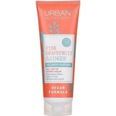 Care Ginger Saç Bakım Şampuanı 250 ml thumbnail 2