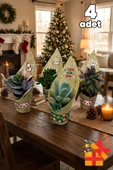 Yılbaşı Jüt Süslemeli 4’lü Sukulent Set thumbnail 1