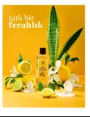 REBUL KOLONYA 250ML SWEET LİMON thumbnail 2