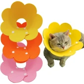 Evcil Hayvan M Boy Keçe Elizabeth Yakalığı thumbnail 1