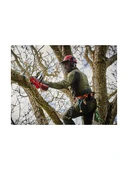 Einhell FORTEXXA 18/20 TH - Solo, Akülü Ağaç Kesme (Akü ve şarj cihazı dahil değildir) thumbnail 3