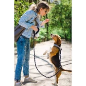 Evcil Hayvan Reflektörlü Gezdirme Tasması - 10 mm x 120 cm thumbnail 2