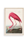 Flamingo Ahşap Çerçeveli Tablo 17 x 23 thumbnail 1