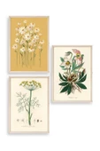 Çiçek Üçlü Ahşap Çerçeveli Tablo 23 x 30 thumbnail 1