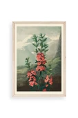 Narrow-Leaved Kalmia Ahşap Çerçeveli Tablo 50 x 70 thumbnail 1