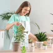 BUFFER® Kurbağa Şeklinde Bitki Sabitleyici - Bahçe ve İç Mekan Bitkileri İçin Dal ve Gövde Destek Aparatı, Çok Amaçlı Bitki Tutucu Klips thumbnail 3