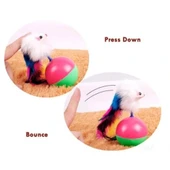 Kedi Fare Hacıyatmaz Oyunu thumbnail 3