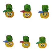 Emoji Çim Adam Yapım Seti-Okul Eğitici Deney Seti 1 Adet thumbnail 3