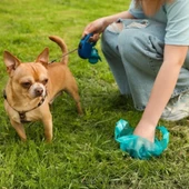 10 Adet Evcil Hayvan Kullan At Kaka Poşeti thumbnail 4