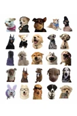 Sevimli Köpek Çıkartmaları Laptop Notebook Tablet Sticker Seti thumbnail 2