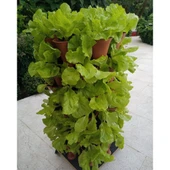 Bahçe Kulesi Yediveren - Evde Tarım Katlı Saksı thumbnail 4