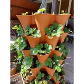 Bahçe Kulesi Yediveren - Evde Tarım Katlı Saksı thumbnail 8