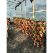 Bahçe Kulesi Yediveren - Evde Tarım Katlı Saksı thumbnail 5