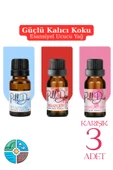Pelldio 3'lü Esansiyel Uçucu Koku Yağı Buhurdanlık Yağı Difüzör Esansı Hobi Esans Ortam Oda 10ml-2 thumbnail 1