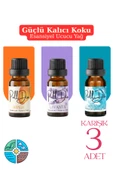 Pelldio 3'lü Esansiyel Uçucu Koku Yağı Buhurdanlık Yağı Difüzör Esansı Hobi Esans Ortam Oda 10ml-4 thumbnail 1