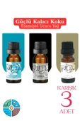Pelldio 3'lü Esansiyel Uçucu Koku Yağı Buhurdanlık Yağı Difüzör Esansı Hobi Esans Ortam Oda 10ml-3 thumbnail 1