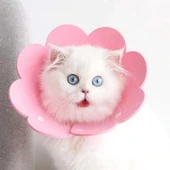 Evcil Hayvan Xl Boy Keçe Elizabeth Yakalığı thumbnail 4