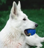 Seslı Mama Oyun Topu thumbnail 5