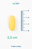 VELAVİT V-Men's Daily thumbnail 2