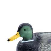 Yeşil Baş Ördek Mühresi - Büyük - Erkek- Yüzen Mühre - Savage - HD 007 thumbnail 5