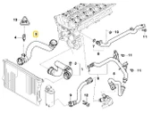 BMW E53 X5 3.0i M54 MOTOR RADYATÖR ALT HORTUMU 11537508688 - 7