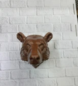 KAHVERENGİ AYI thumbnail 2