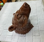 KAHVERENGİ AYI thumbnail 5