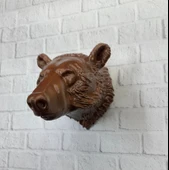 KAHVERENGİ AYI thumbnail 3