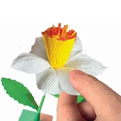 Çiçek Tasarıım Seti - Nergis thumbnail 3