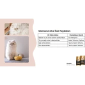 Reflex Plus Persian Yavru Kedi Maması 1.5 kg thumbnail 3