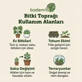 Organik Cocopeat Perlit Pomza Karışımlı Genel Bitki Kullanıma Uygun Bitki Toprağı Toprak (5 LİTRE) thumbnail 3